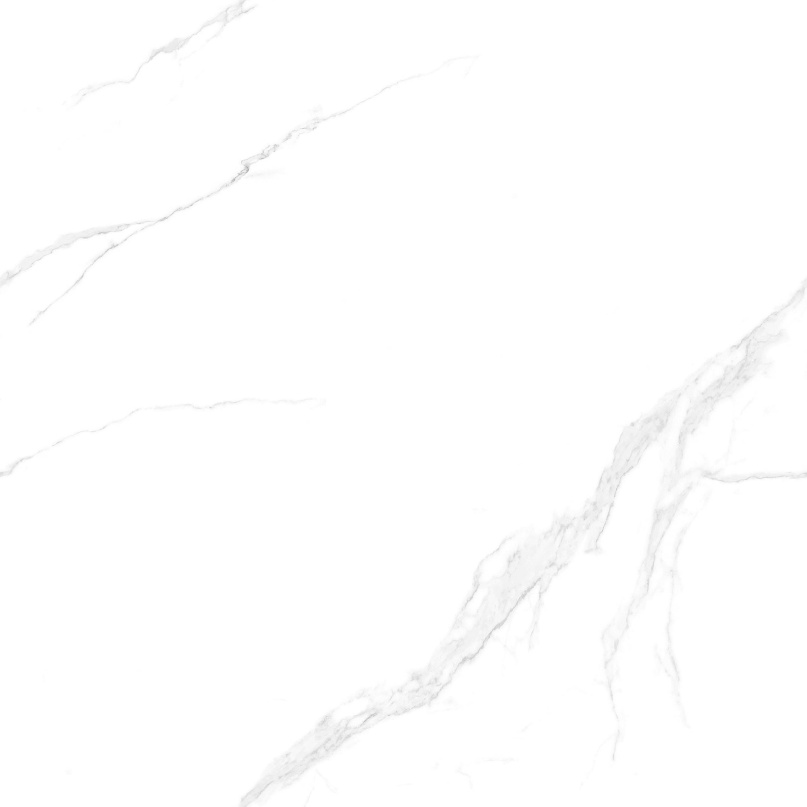 JL88801 一本万利 