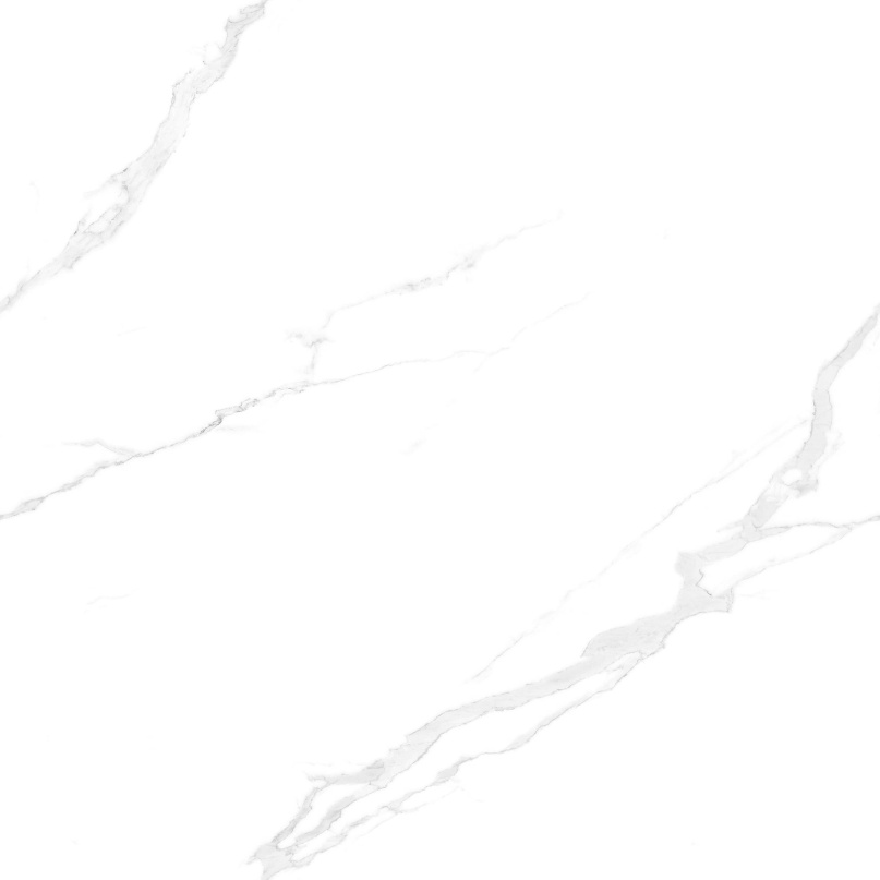 JL88801 一本万利 