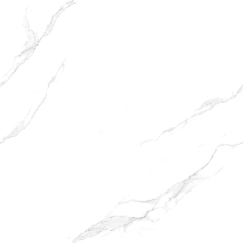 JL88801 一本万利 