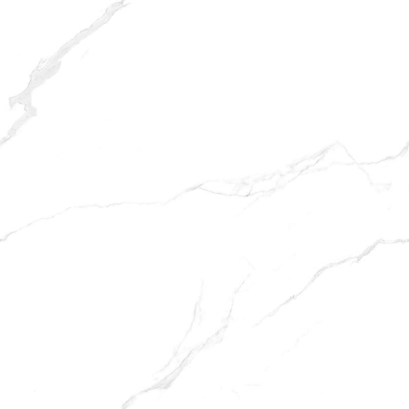 JL88801 一本万利 