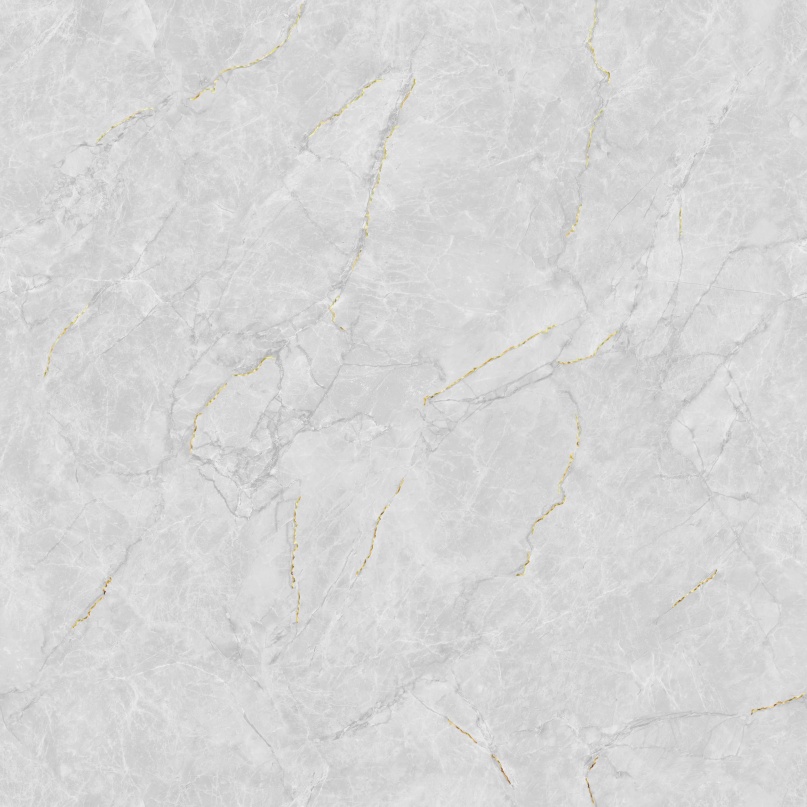 JL88832K 二龙腾飞 