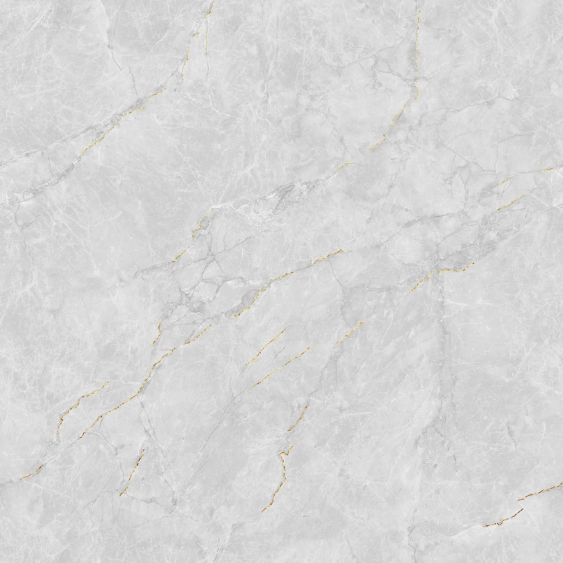 JL88832K 二龙腾飞 