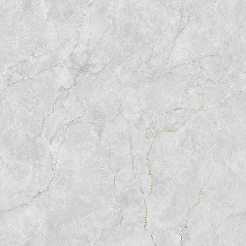 JL88832K 二龙腾飞 