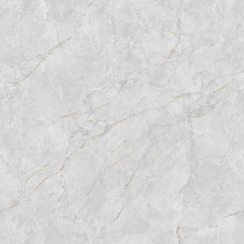 JL88832K 二龙腾飞 