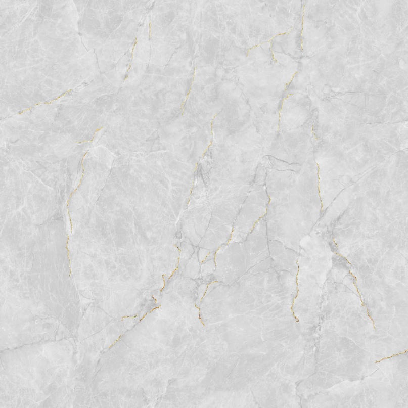 JL88832K 二龙腾飞 