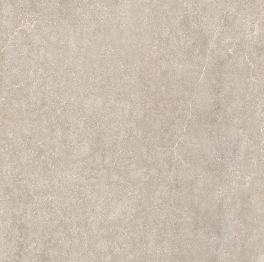 90GT1204 玛雅棕灰