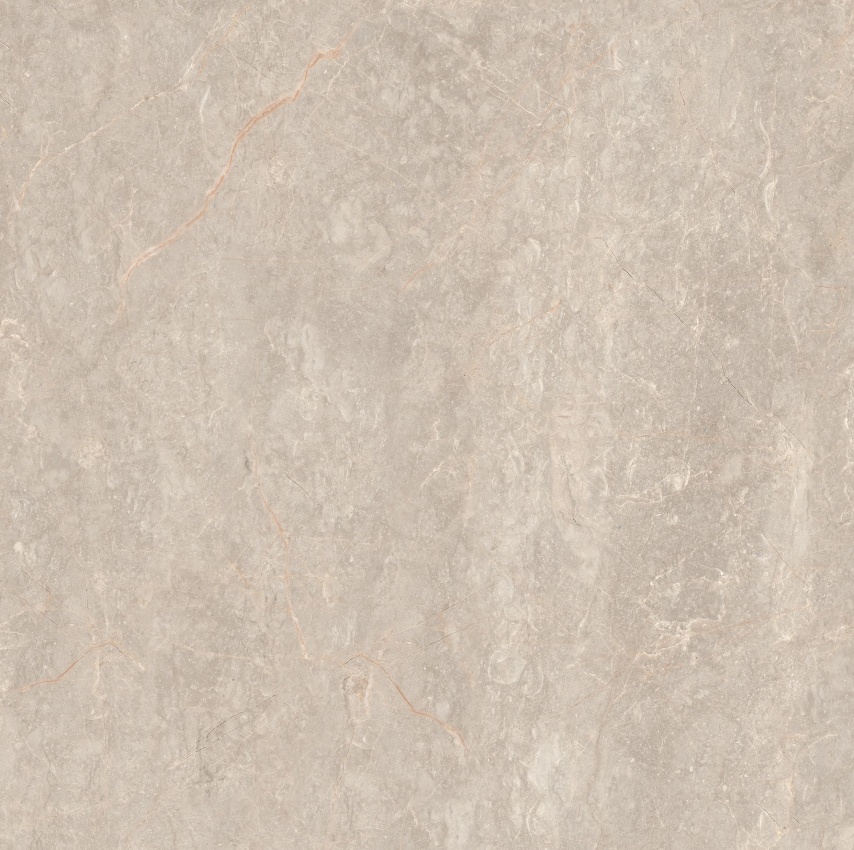 90GT1204 玛雅棕灰