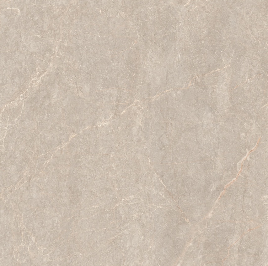 90GT1204 玛雅棕灰