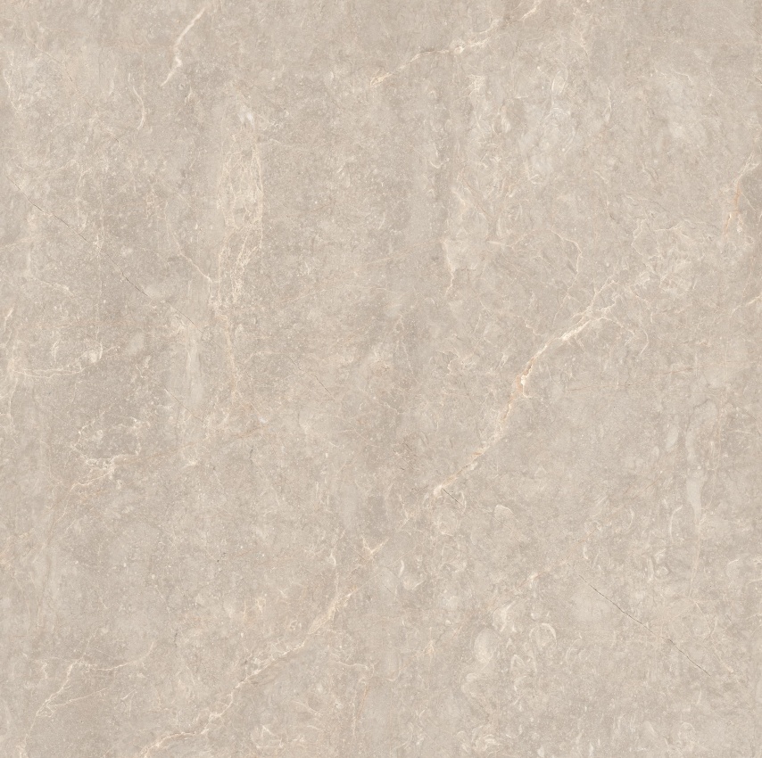 90GT1204 玛雅棕灰