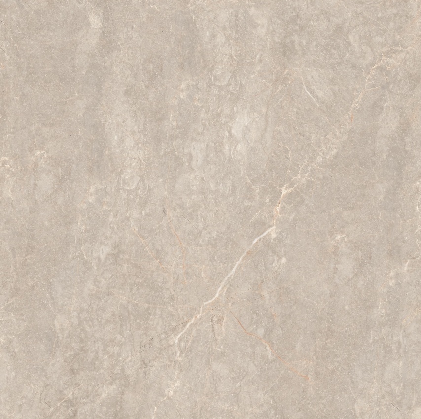 90GT1204 玛雅棕灰