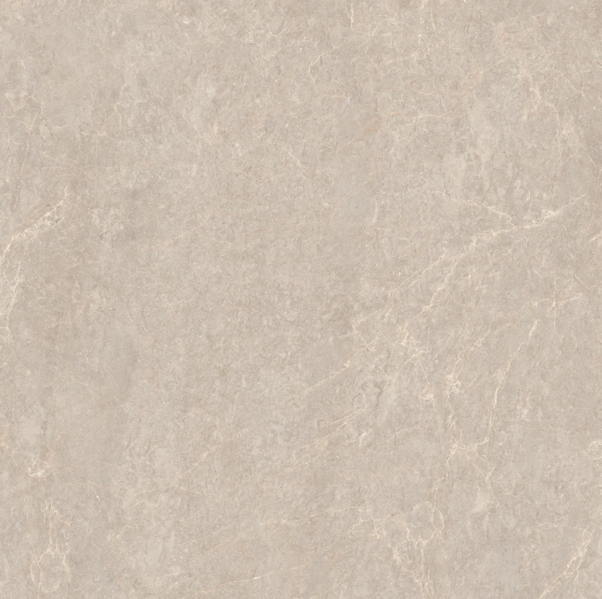 90GT1204 玛雅棕灰