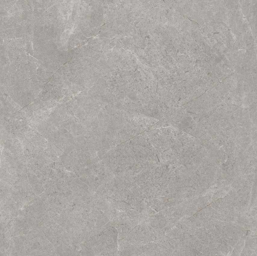 90GT1209 普多拉灰