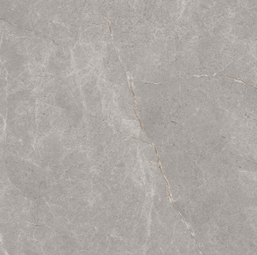 90GT1209 普多拉灰