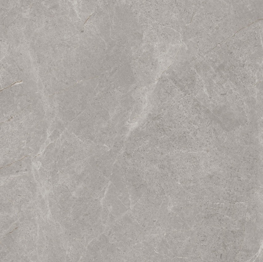 90GT1209 普多拉灰