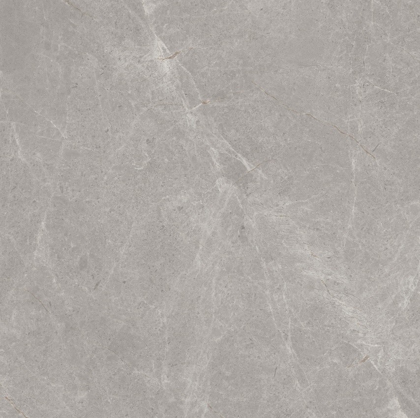 90GT1209 普多拉灰