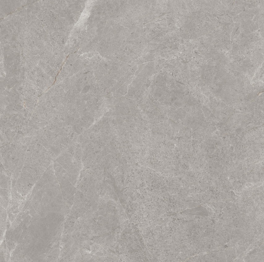 90GT1209 普多拉灰