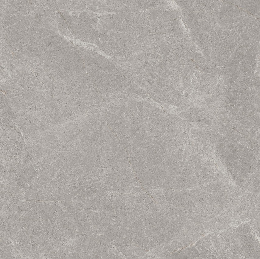 90GT1209 普多拉灰