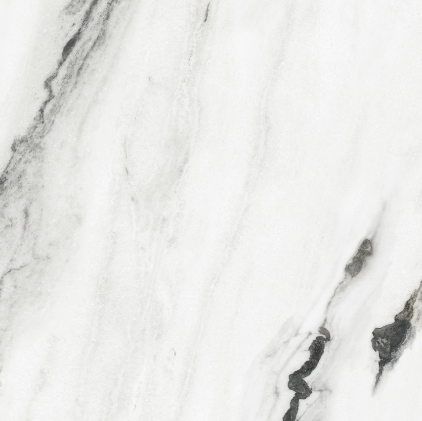 90ABK1007  纪梵希白 