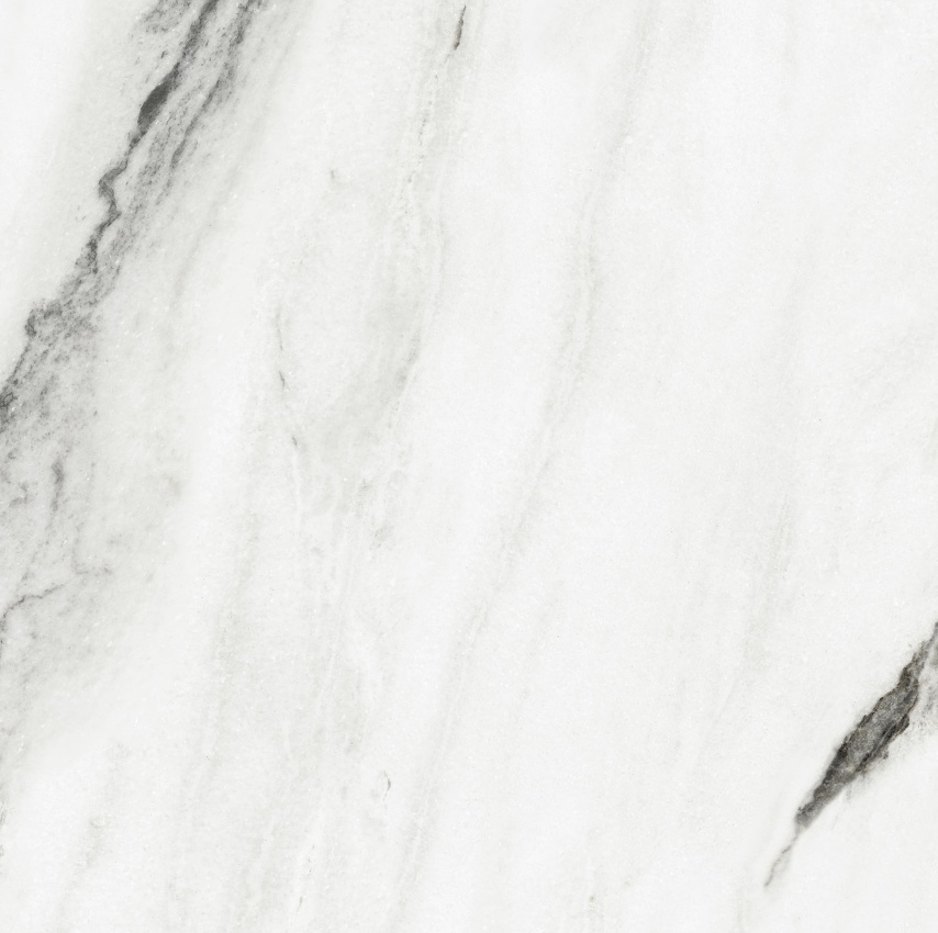 90ABK1007  纪梵希白 