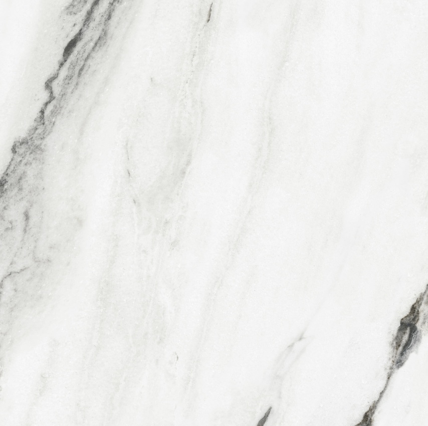 90ABK1007  纪梵希白 