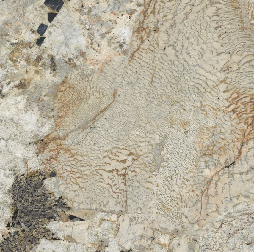 ABK90051C-卡地亚金