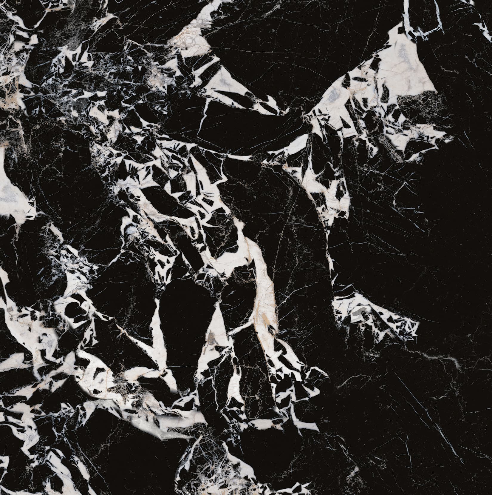 90ABKR1055-拿破仑黑