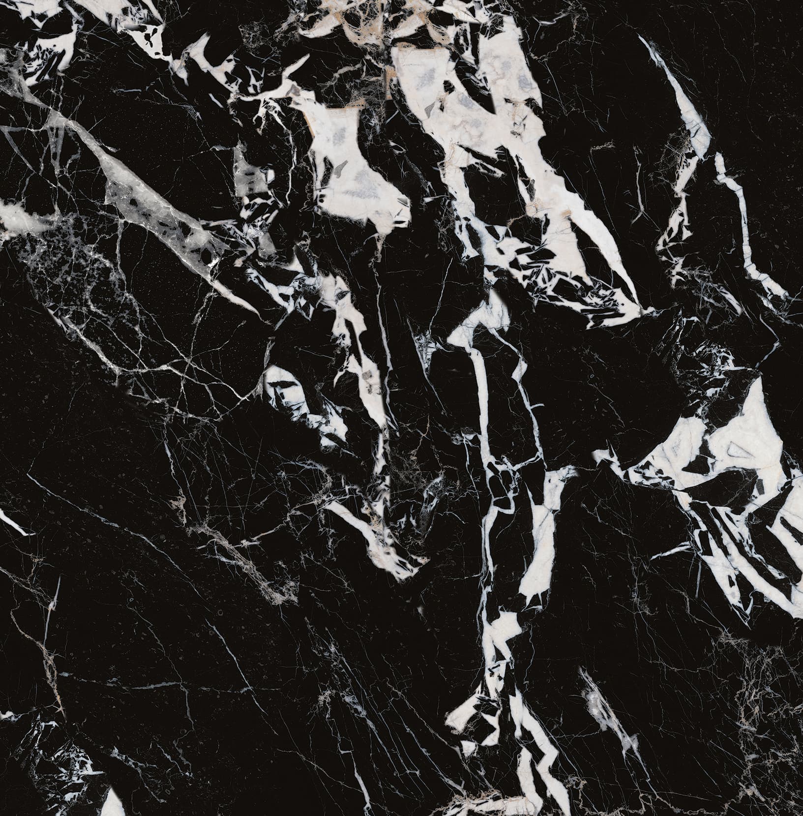 90ABKR1055-拿破仑黑