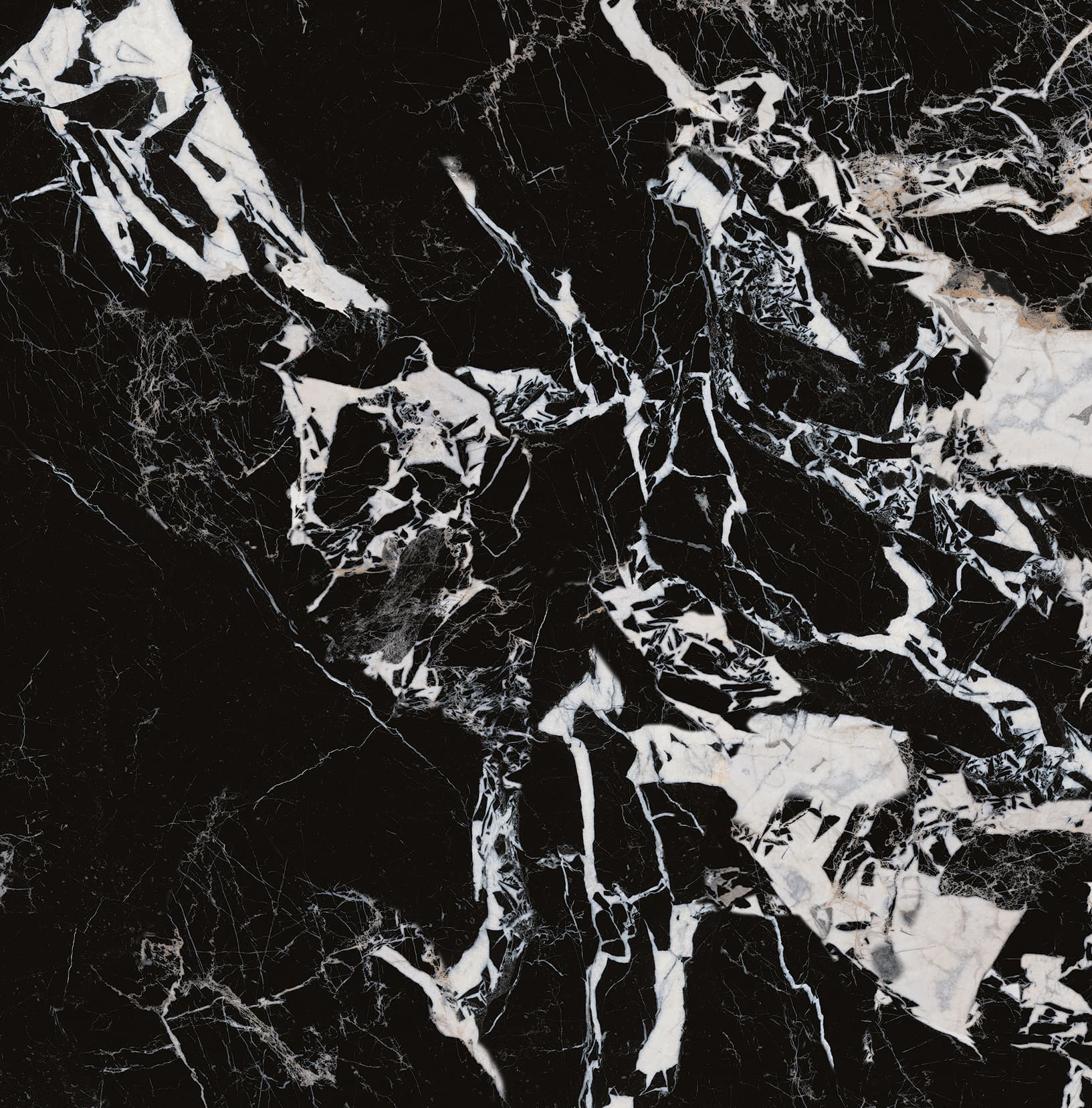 90ABKR1055-拿破仑黑