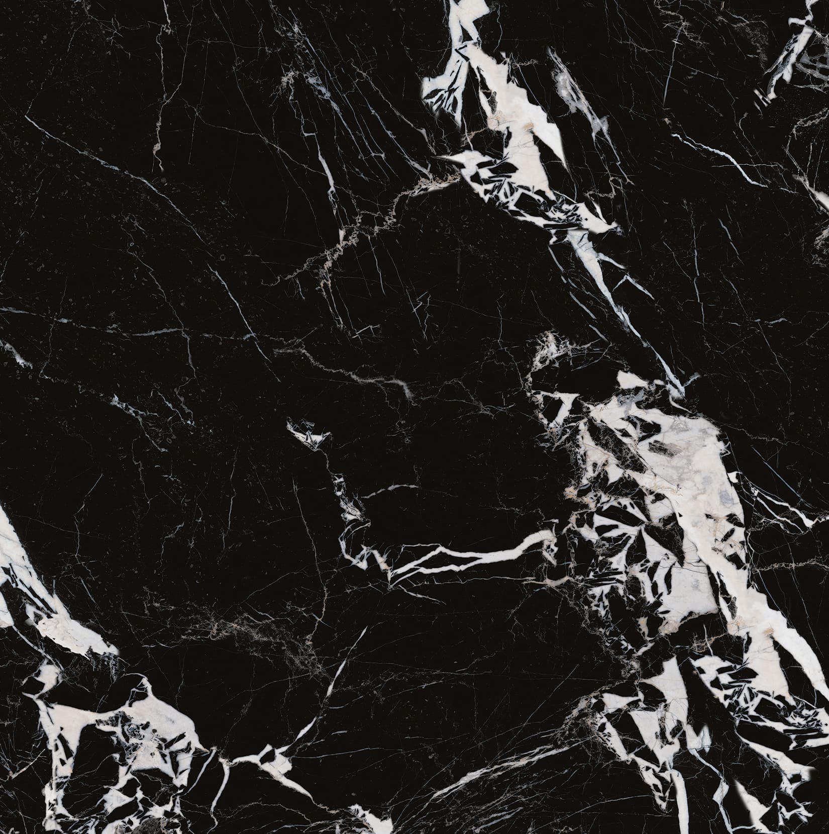 90ABKR1055-拿破仑黑