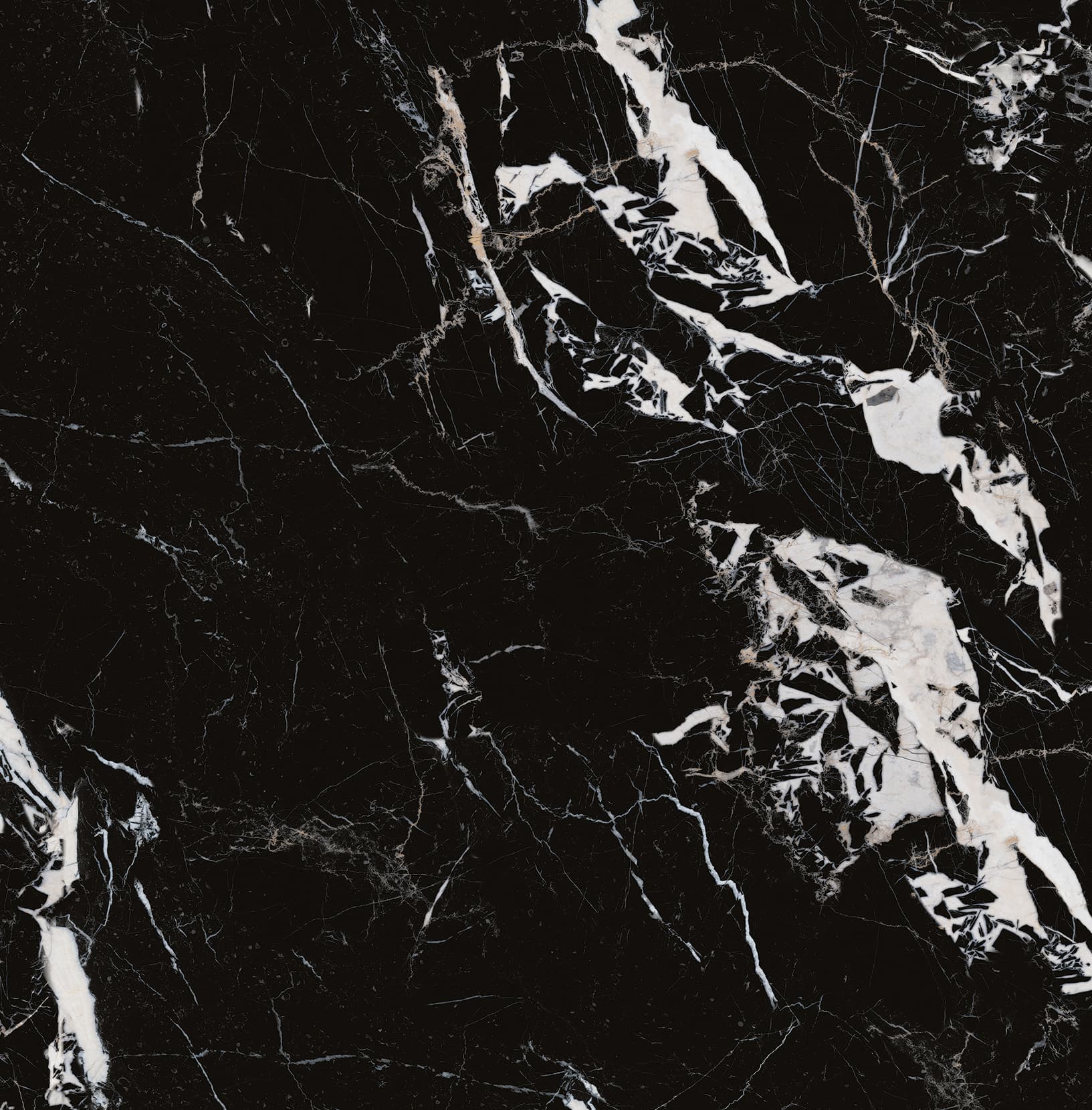 90ABKR1055-拿破仑黑