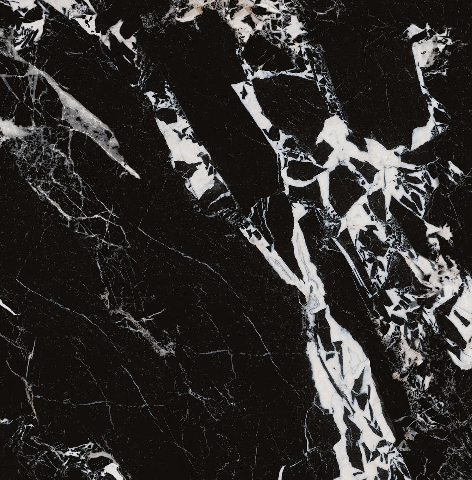 90ABKR1055-拿破仑黑