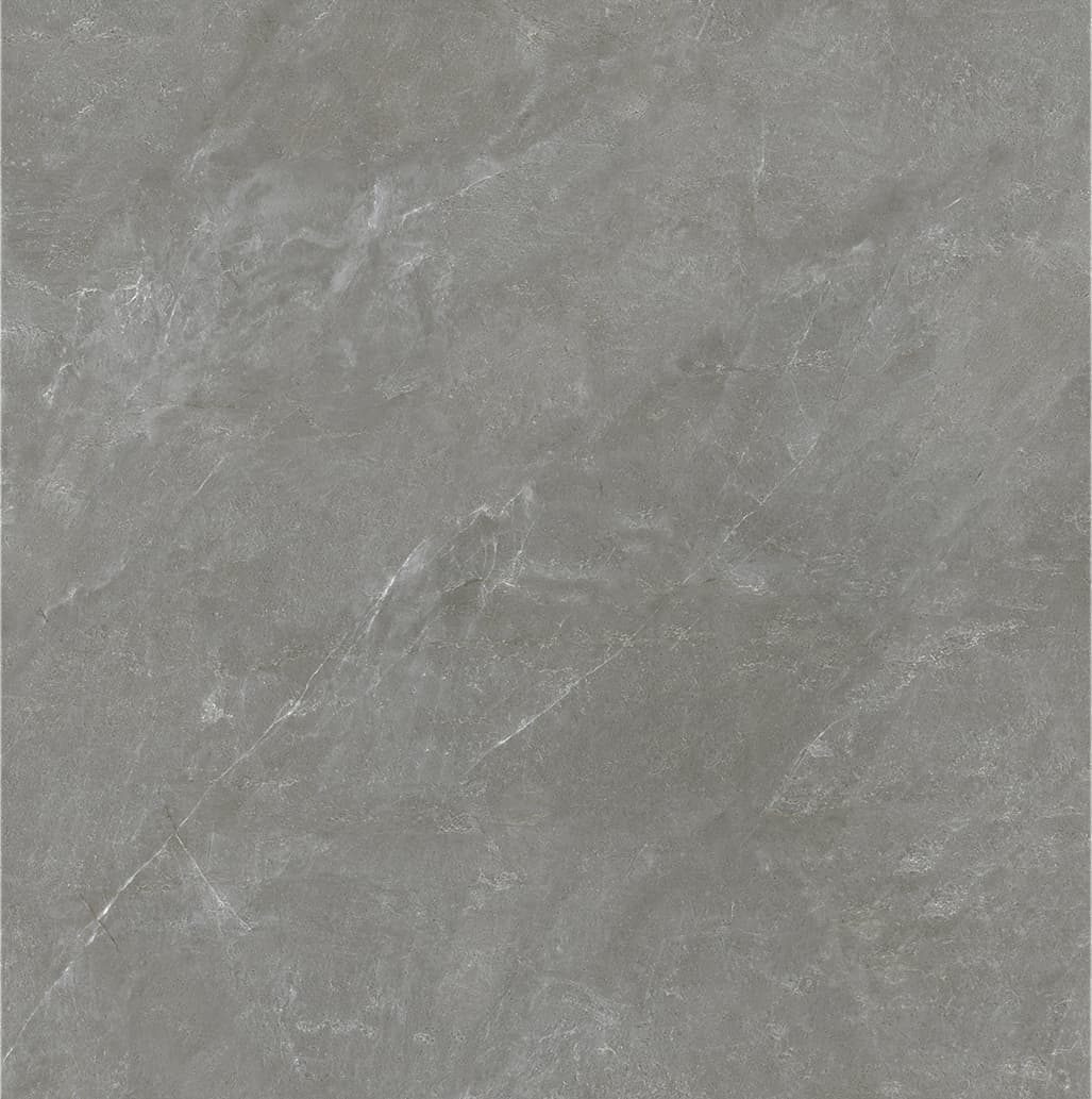 90SR1070 巴宝莉深灰