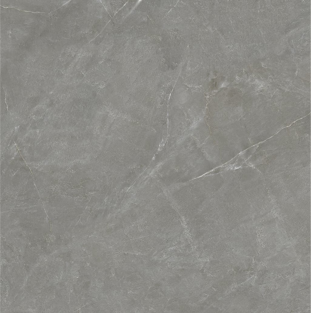 90SR1070 巴宝莉深灰