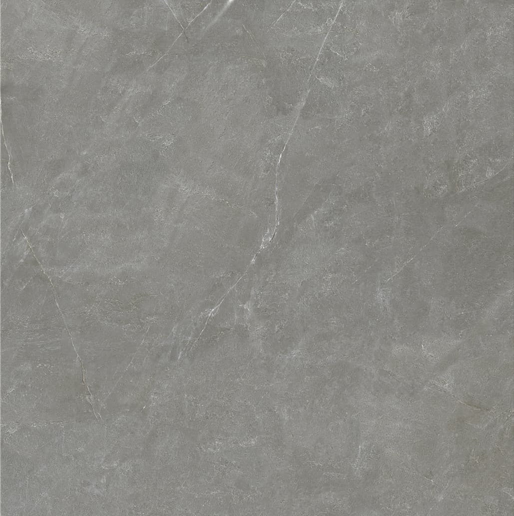 90SR1070 巴宝莉深灰