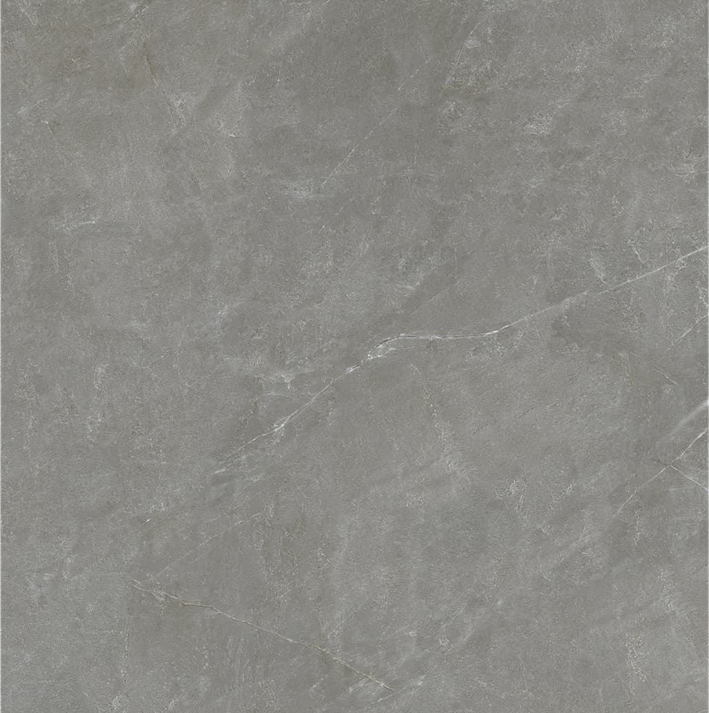 90SR1070 巴宝莉深灰