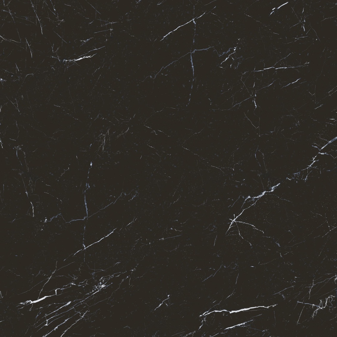 1010K1383 顶级黑白根