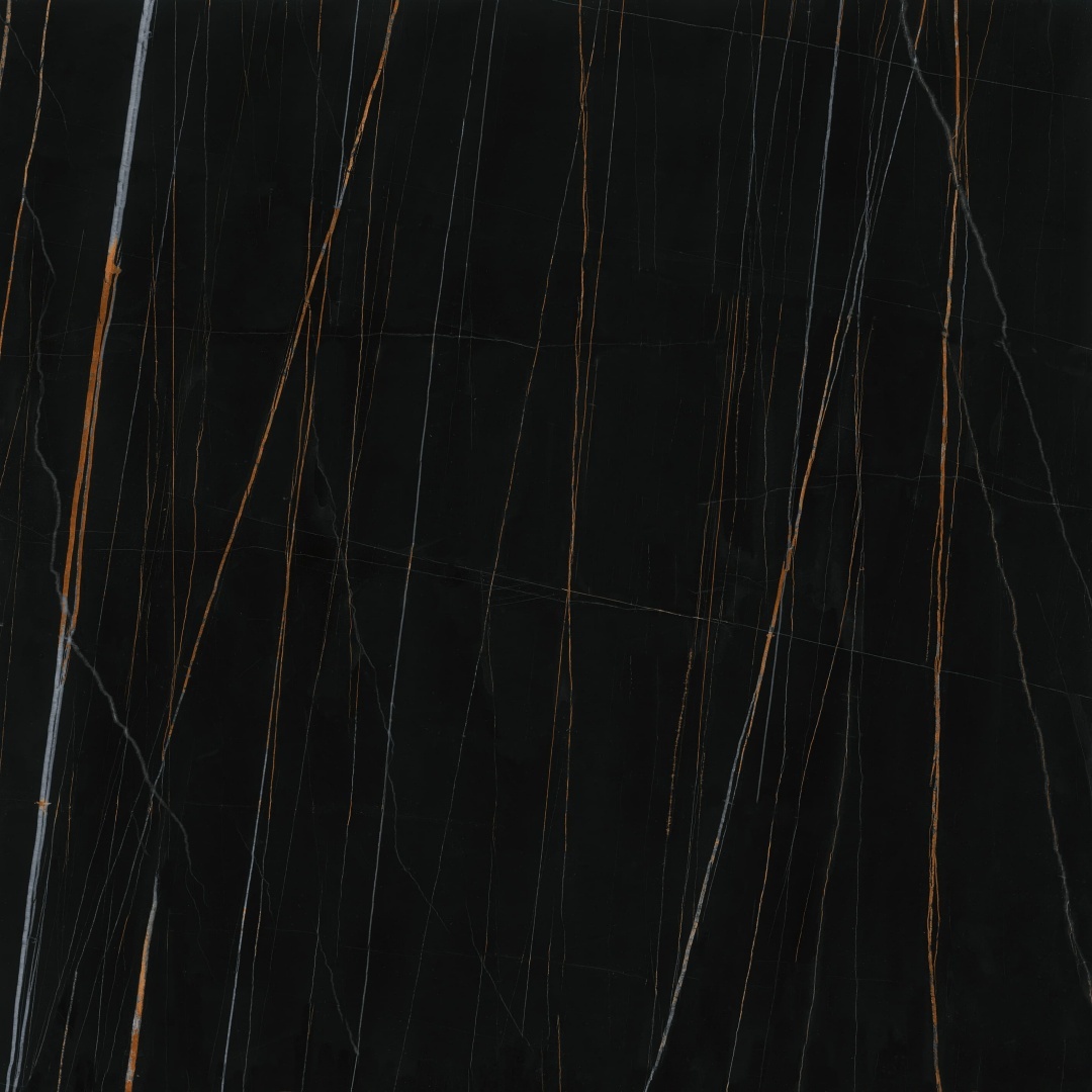 1010K1398 新劳伦特金