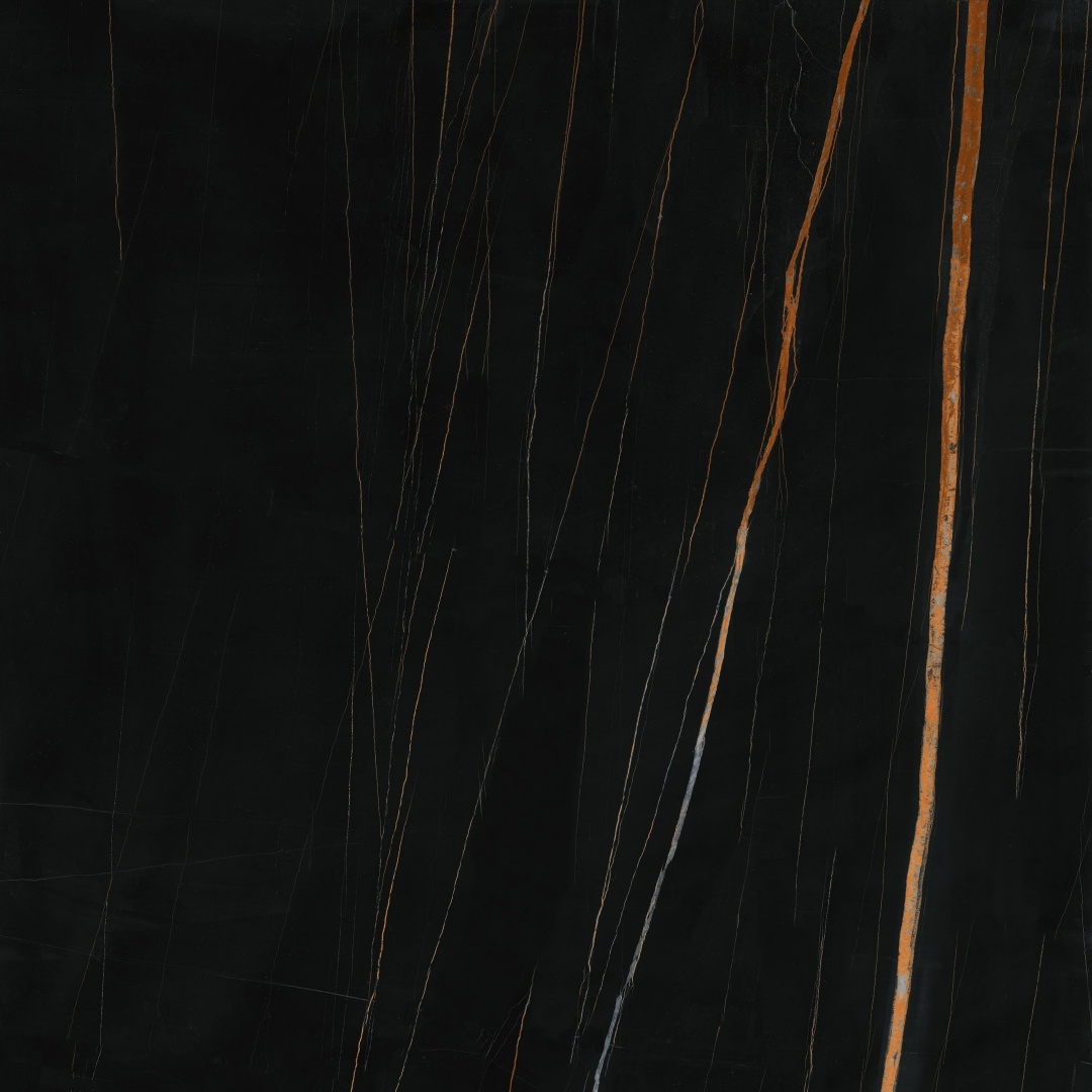 1010K1398 新劳伦特金