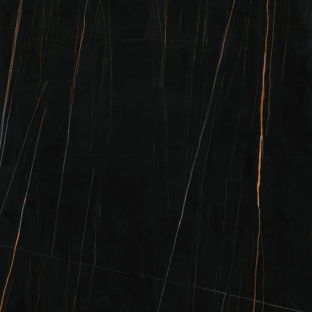 1010K1398 新劳伦特金