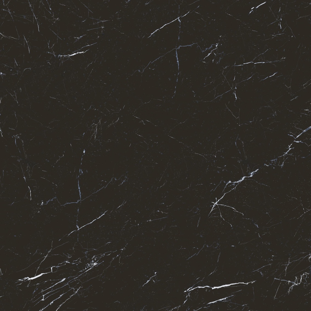 S10101384 顶级黑白根