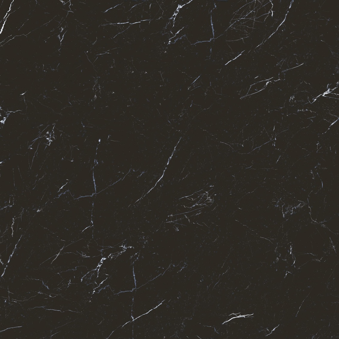 S10101384 顶级黑白根