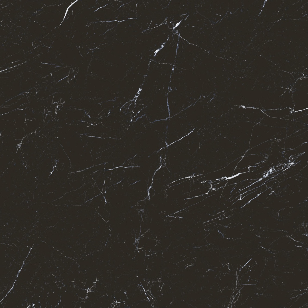 S10101384 顶级黑白根