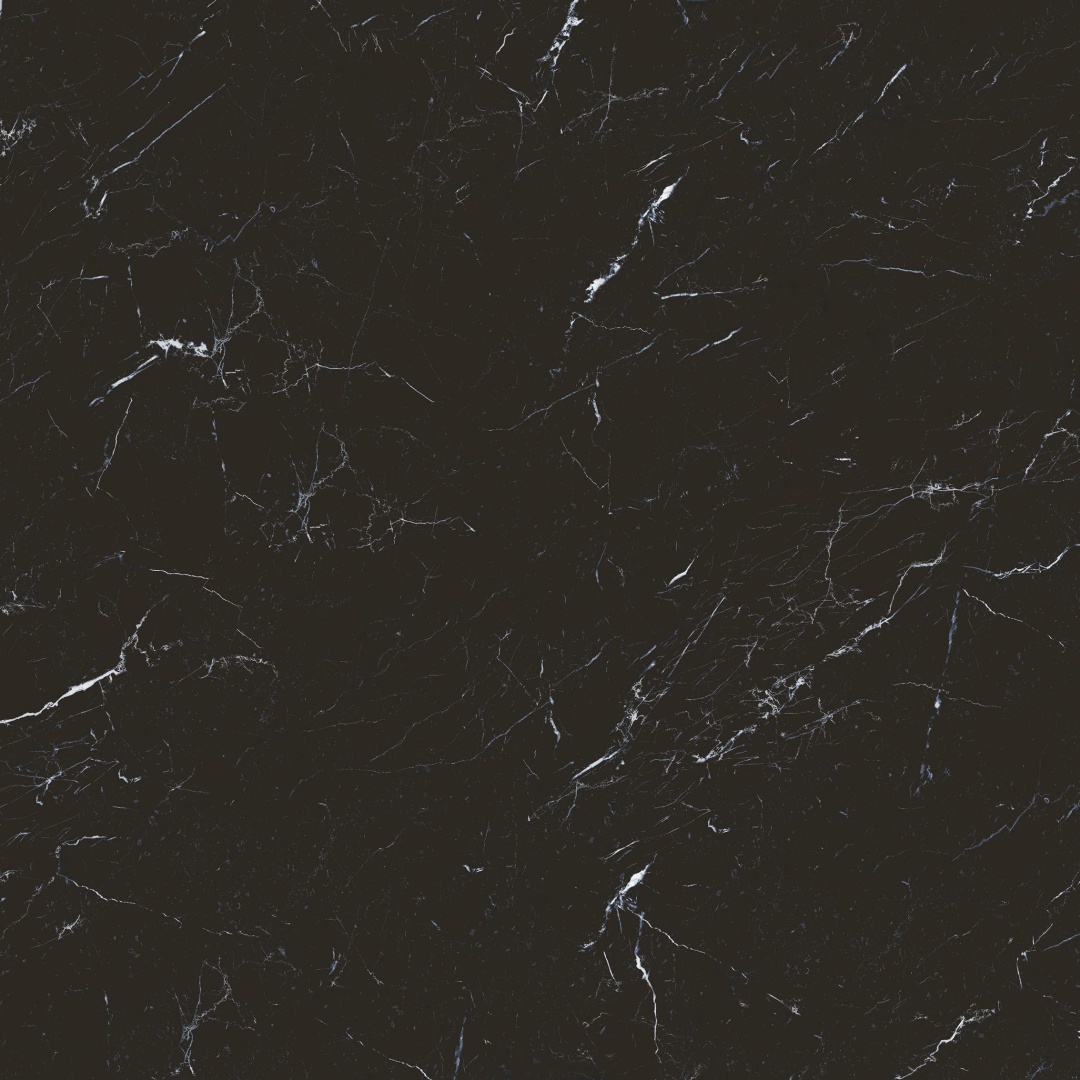 S10101384 顶级黑白根