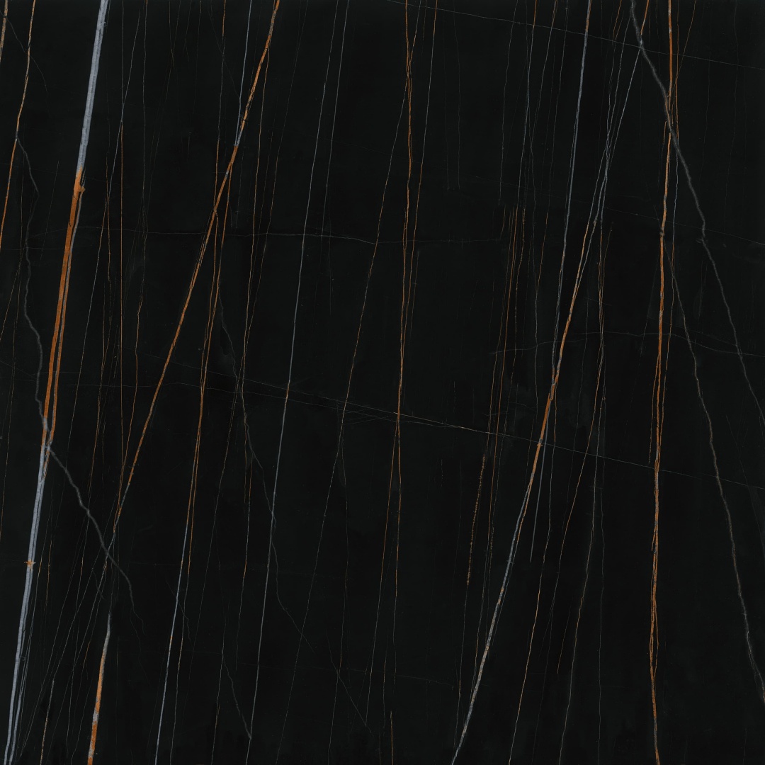 S10101399 新劳伦特金