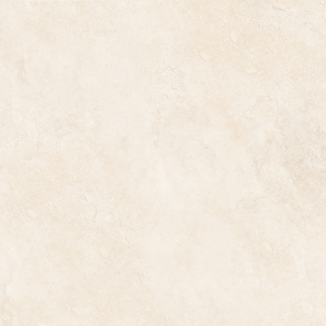 1010NS1078  法国米白洞石 