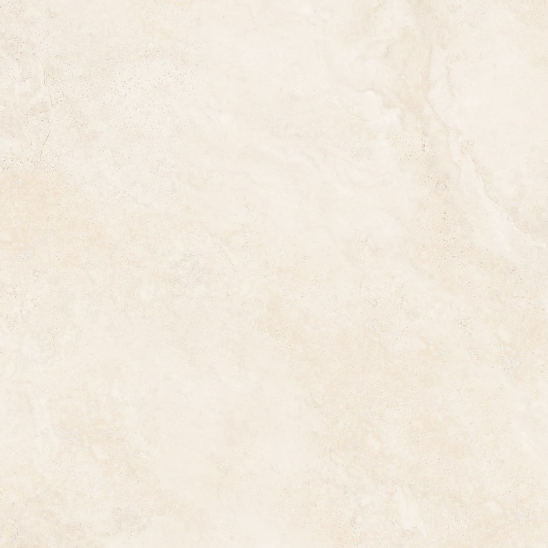 1010NS1078  法国米白洞石 