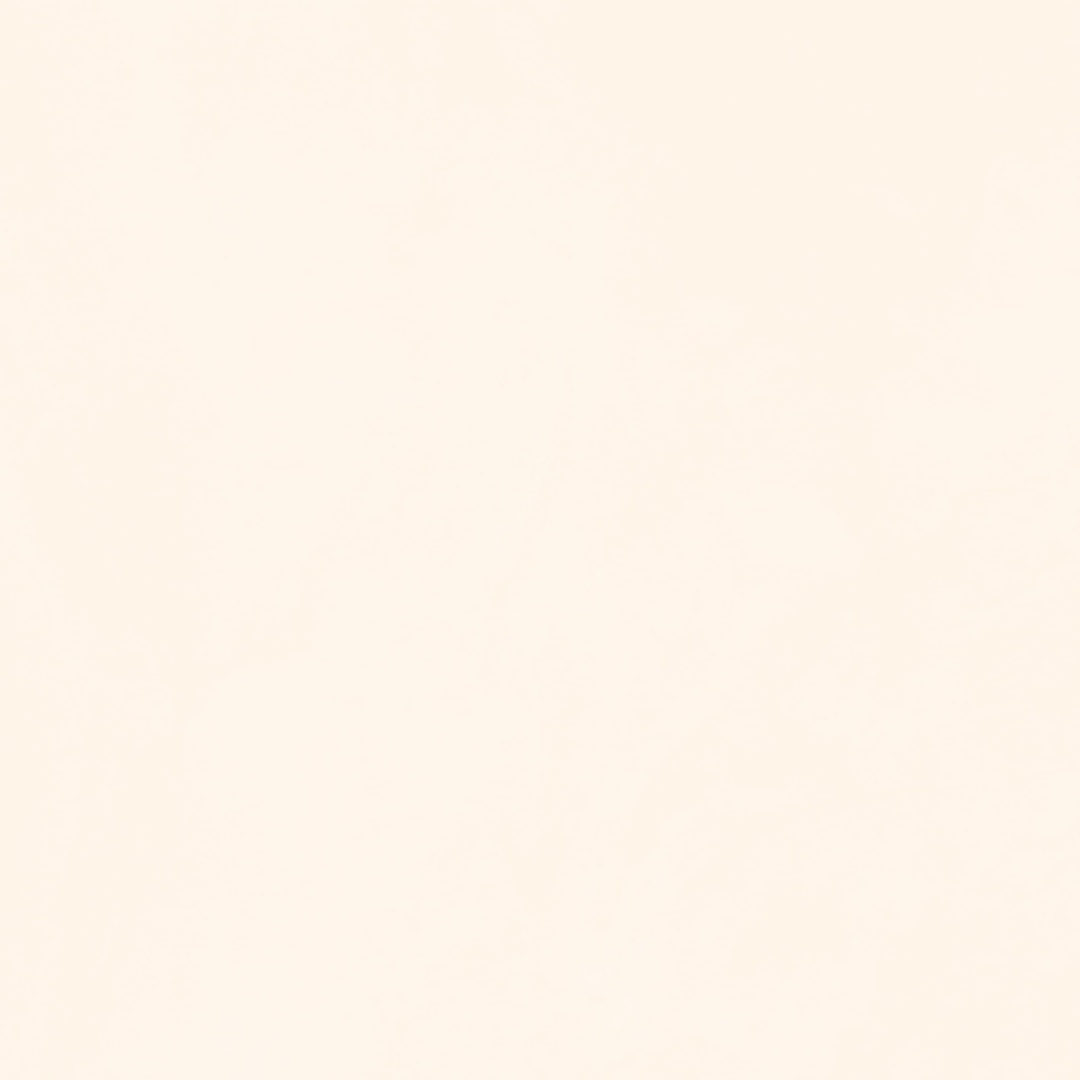 1010NS1419  杏子黄