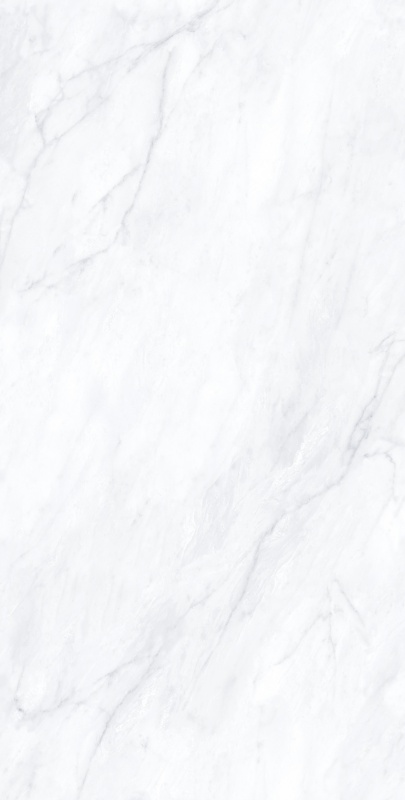 1020ABYB1125 北极冰白