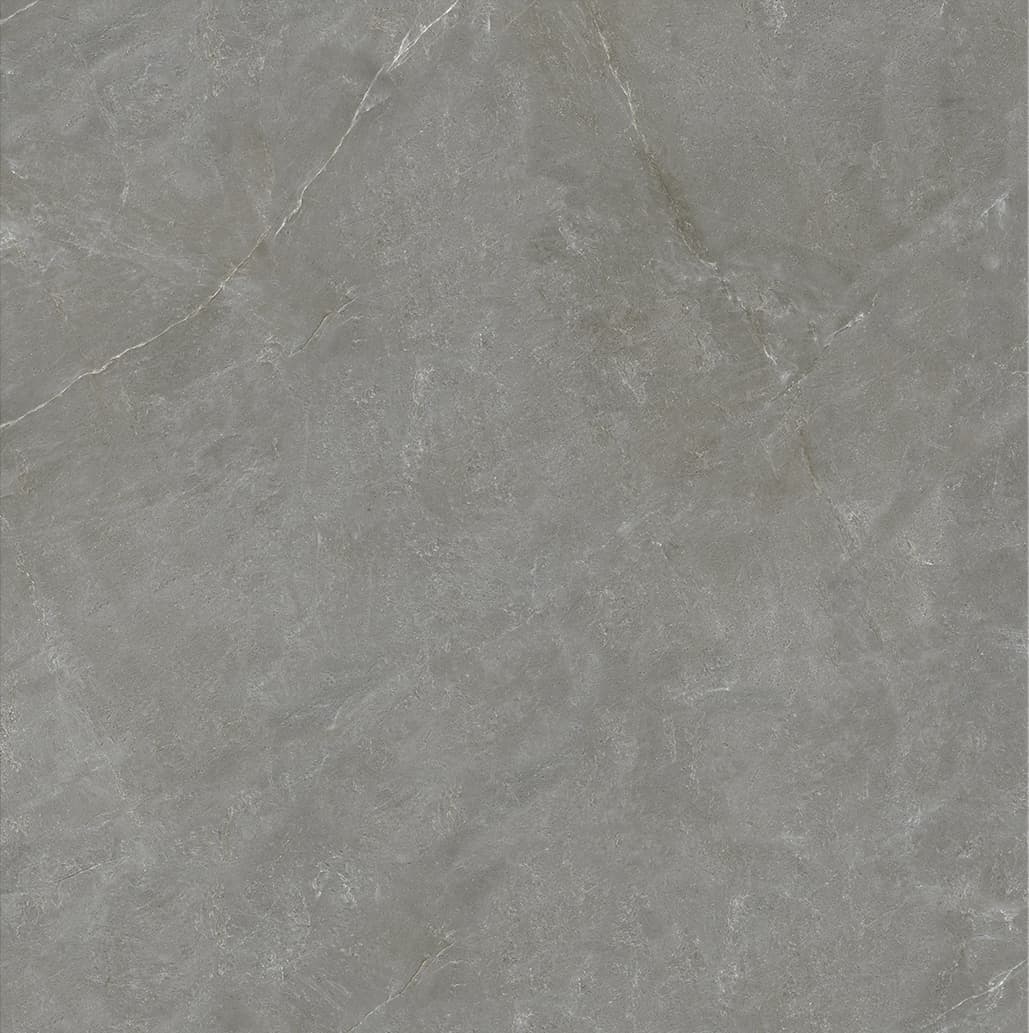 90SR1070 巴宝莉深灰