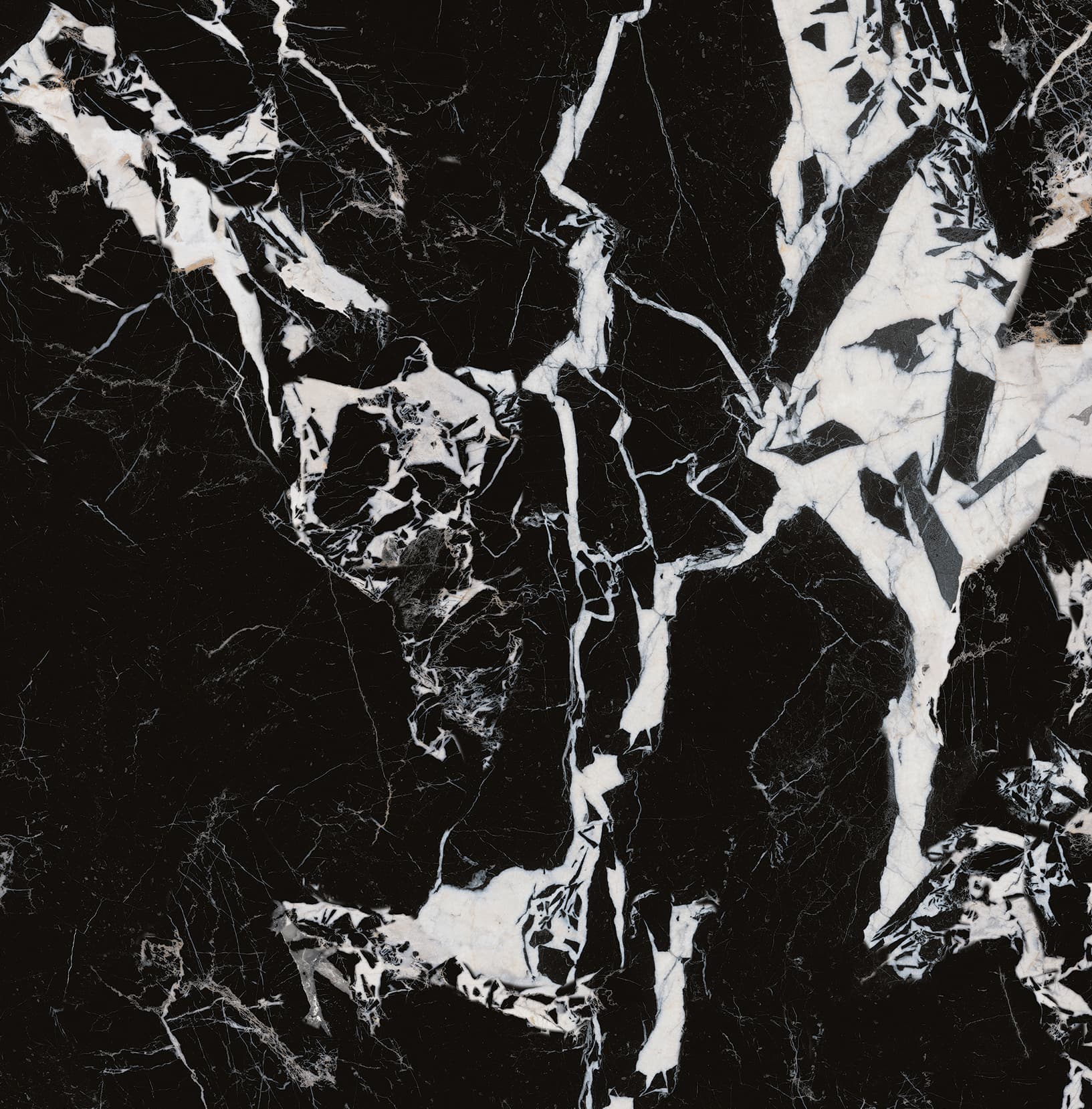 90ABKR1055-拿破仑黑